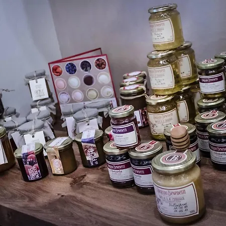 Monte Baldo マルチェージネ